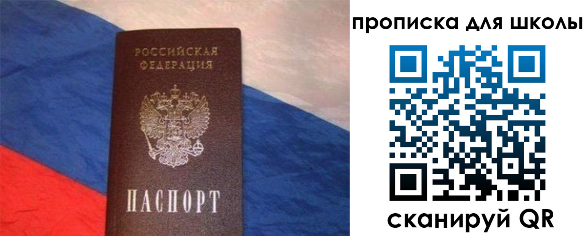 прописка поиск в Королёве